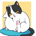 Hello余雪特漫画免费阅读_Hello余雪特在线漫画观看