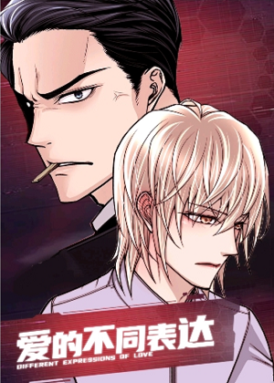 爱的不同表达漫画免费阅读_爱的不同表达在线漫画观看