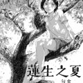 莲生之夏漫画免费阅读_莲生之夏在线漫画观看