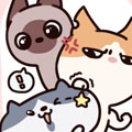 铲屎吧！喵！漫画免费阅读_铲屎吧！喵！在线漫画观看