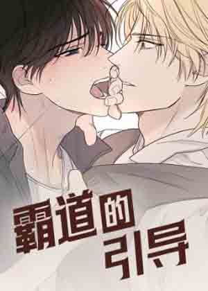 霸道引导漫画免费阅读_霸道引导在线漫画观看